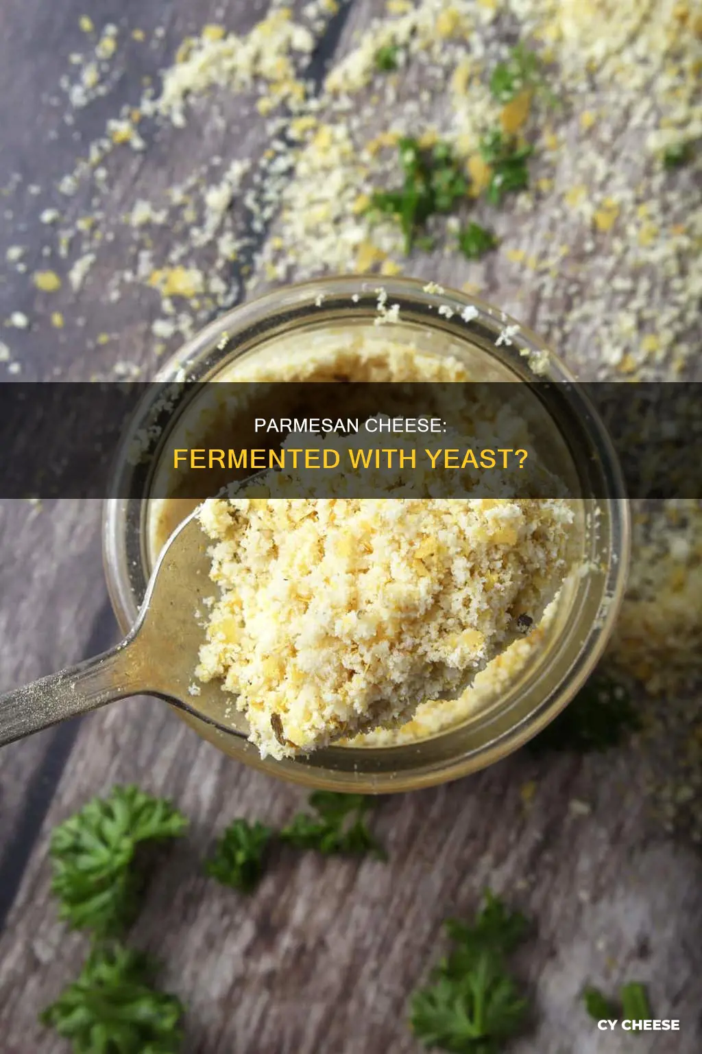 is parmesan cheese fermented with yeast