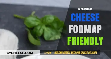 Parmesan Cheese: Friend or Foe on a FODMAP Diet?