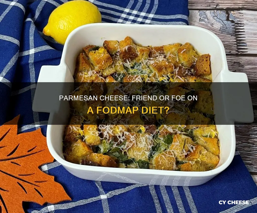 is parmesan cheese fodmap friendly