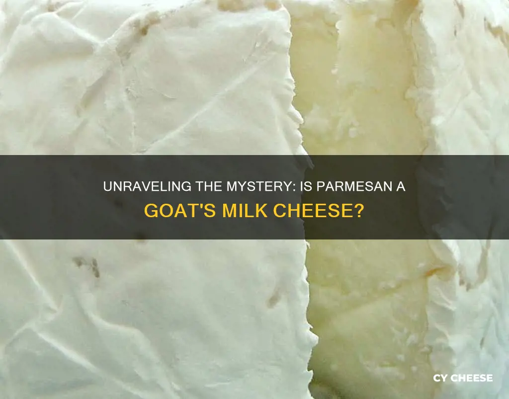 is parmesan cheese goat cheese