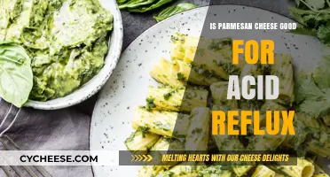 Can Parmesan Cheese Be Enjoyed Without Triggering Acid Reflux?