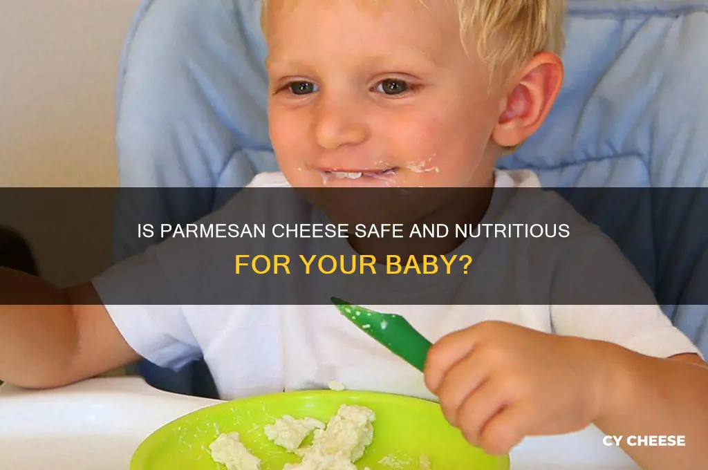 is parmesan cheese good for babies
