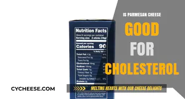 Parmesan Cheese and Cholesterol: Health Benefits or Risks?