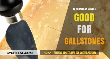 Can Parmesan Cheese Help Prevent or Worsen Gallstones? Find Out