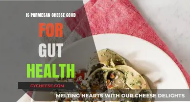 Parmesan Cheese and Gut Health: Benefits, Risks, and Probiotic Potential