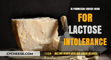 Can Lactose Intolerant Individuals Enjoy Parmesan Cheese? Find Out Here