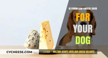 Can Dogs Eat Parmesan Cheese? Benefits, Risks, and Serving Tips