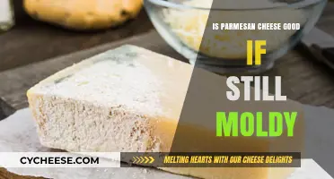 Moldy Parmesan: Safe to Eat or Toss It Out?