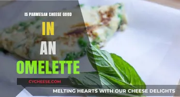 Parmesan Cheese in Omelettes: A Flavorful Twist or Culinary Miss?