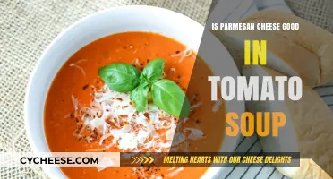 Parmesan Cheese in Tomato Soup: A Flavorful Match or Miss?