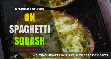 Parmesan Cheese on Spaghetti Squash: A Match Made in Heaven?
