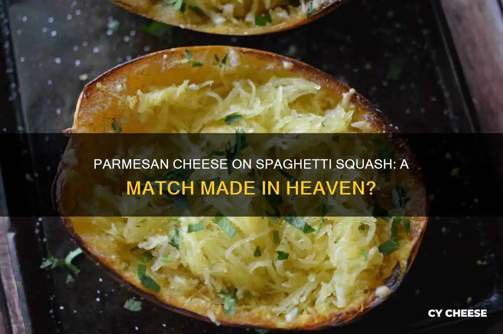 is parmesan cheese good on spaghetti squash