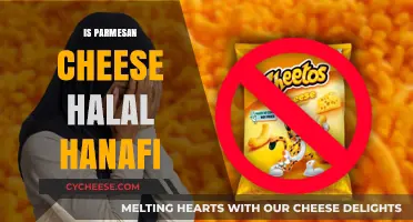 Hanafi School of Thought: Is Parmesan Cheese Halal?