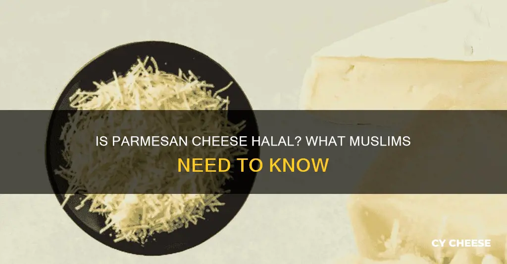is parmesan cheese halal or haram