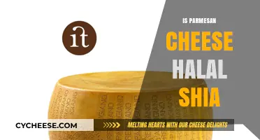Shia Islam and Parmesan Cheese: Halal or Not?