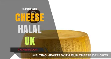 The Halal Status of Parmesan Cheese in the UK