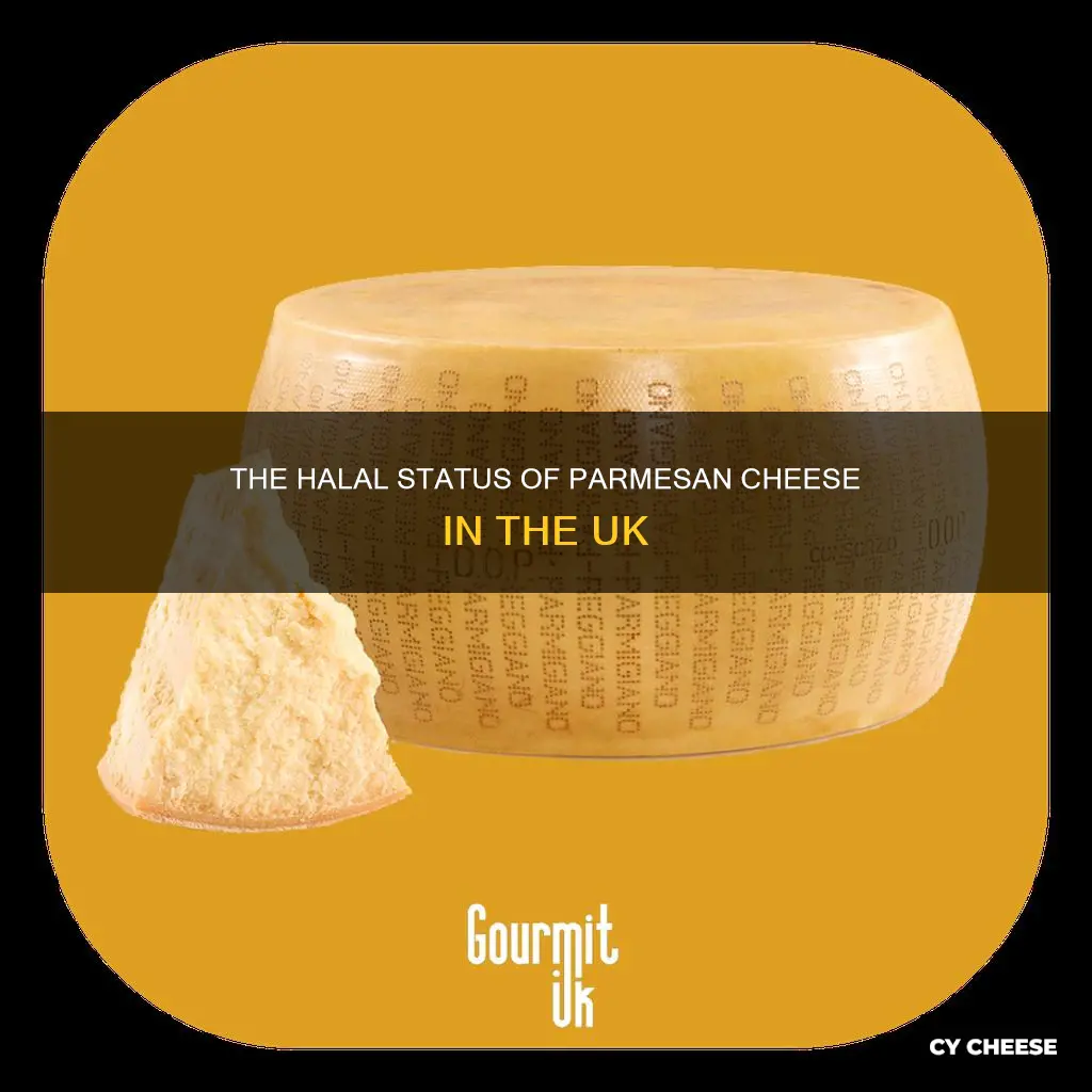 is parmesan cheese halal uk