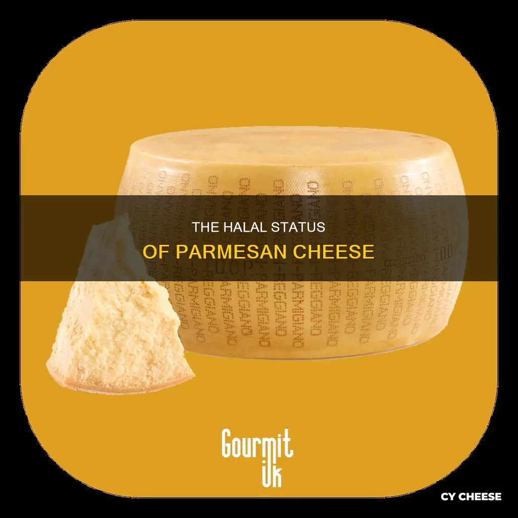 is parmesan cheese halal