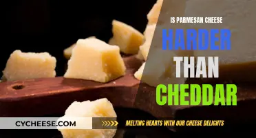 Unraveling the Mystery: Is Parmesan Harder than Cheddar?