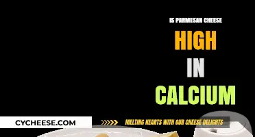 Parmesan Cheese: A Rich Source of Calcium?