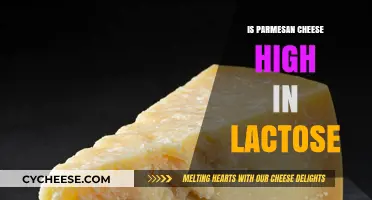 Parmesan Cheese and Lactose: What's the Deal?