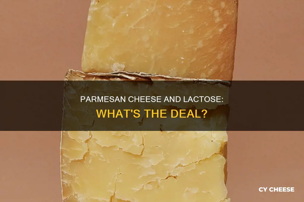 is parmesan cheese high in lactose