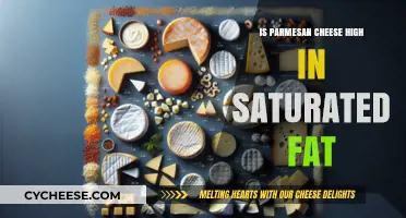 Parmesan Cheese: High in Saturated Fat?