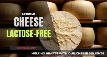 Parmesan Cheese: Lactose-Free Superfood?