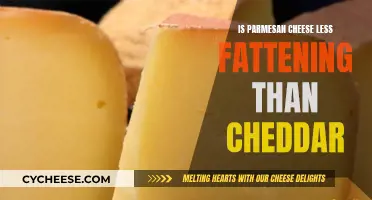 Cheese Comparison: Is Parmesan Less Fattening Than Cheddar?