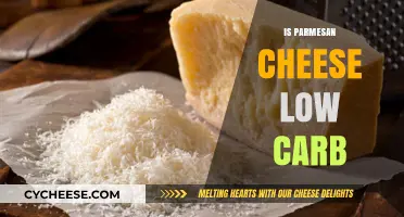 Parmesan Cheese: Carb-Friendly Superfood or Not?