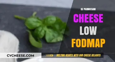 Parmesan Cheese: A Low-FODMAP Superfood?