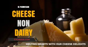 Parmesan Cheese: Dairy or Not?