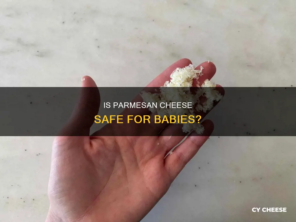 is parmesan cheese ok for babies