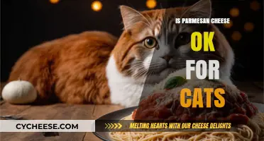 Parmesan Cheese: Safe Treat or Feline Danger?