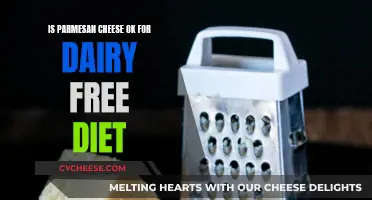 Parmesan Cheese: Friend or Foe for Dairy-Free Diets?
