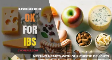 Parmesan Cheese and IBS: A Safe Treat?