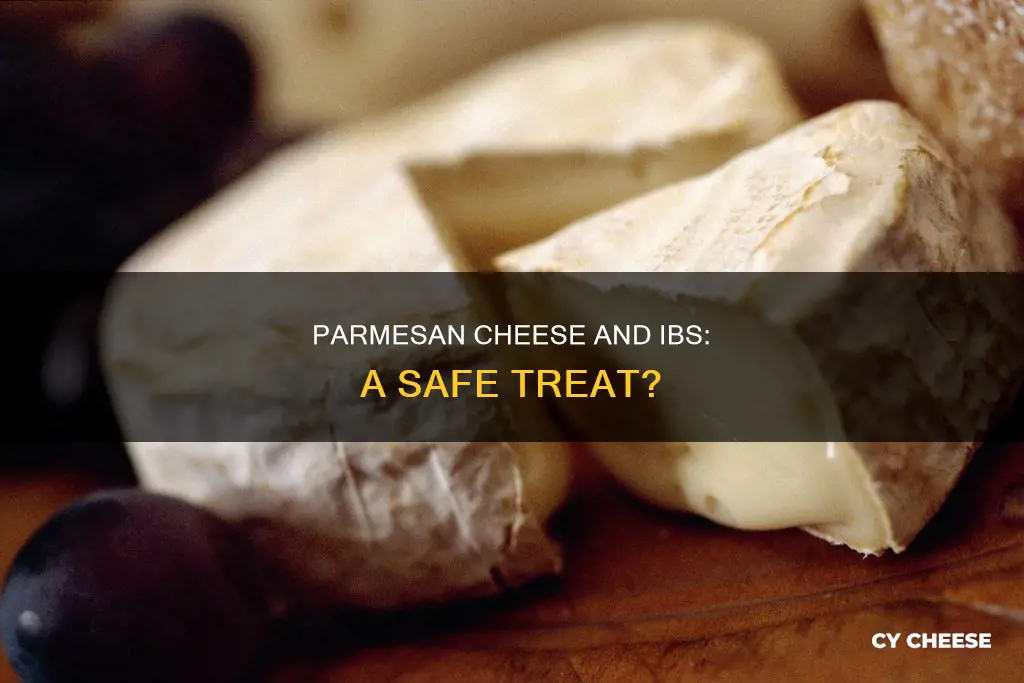 is parmesan cheese ok for ibs
