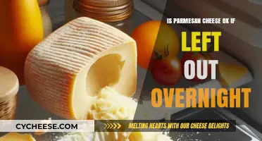 Parmesan Cheese: Safe to Leave Out Overnight?