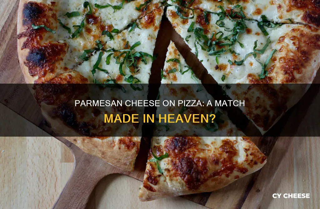 is parmesan cheese ok on pizza
