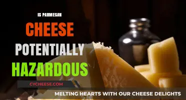 Parmesan Cheese: Is It a Food Safety Risk?