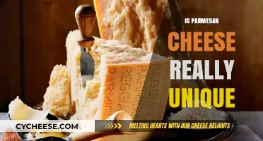Parmesan Cheese: A Unique Italian Delicacy?