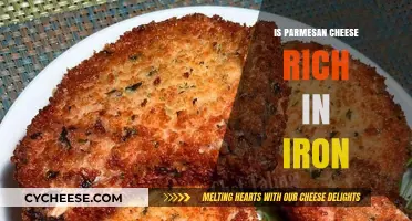 Parmesan Cheese: A Rich Source of Iron?