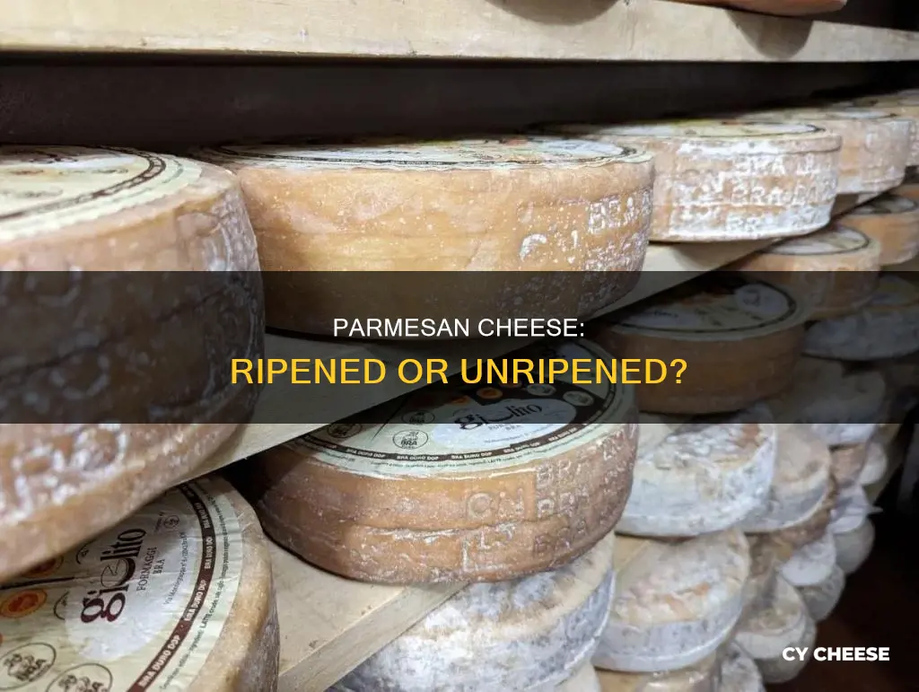 is parmesan cheese ripened or unripened