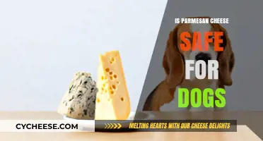 Is Parmesan Cheese Safe for Dogs to Eat?