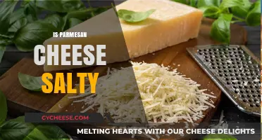 Parmesan Cheese: Salty or Not?