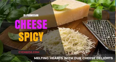 Parmesan Cheese: Spicy or Not?