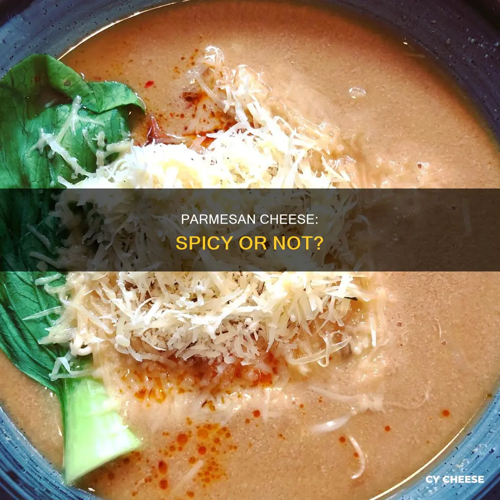 is parmesan cheese spicy
