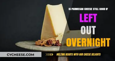 Parmesan Cheese Left Out Overnight: Safe to Eat or Toss?