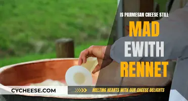 Parmesan Cheese and Rennet: What's the Connection?