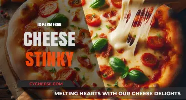 The Stink Factor: Parmesan Cheese's Pungent Aroma